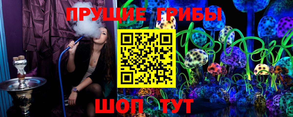 Псилоцибиновые грибы GOLDEN TEACHER  Галлюциногенные грибы GOLDEN TEACHER  Вход с VPN  Клинцы 